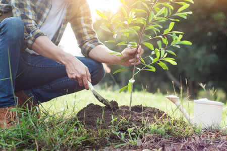 Young man kneeling during planting a tree, profession conceptの写真素材