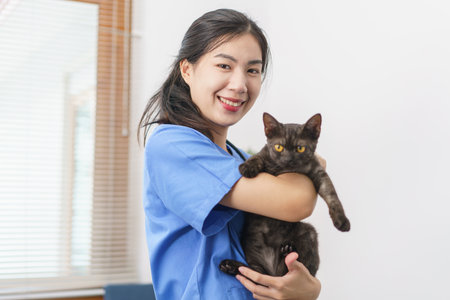 Pet care concept, Female veterinary playing and hugging cute cat after examining health cat.の写真素材