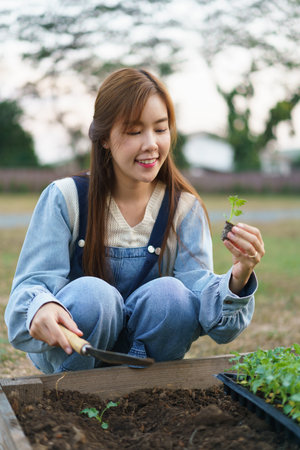 Young woman hold trowel and vegetable seedling to grow into soil on vegetable plot in front of home.の写真素材