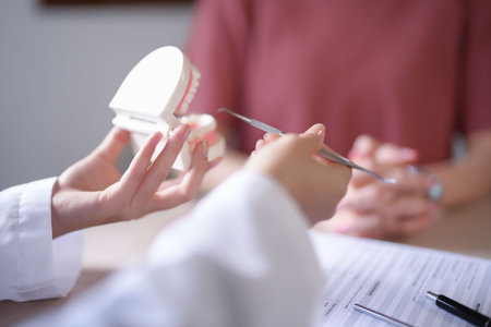 Asian dentist doctor women holding model of human jaws with teeth explaining about oral dental...
