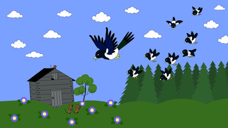 a magpie with chicks flies over a summer meadow and forestのイラスト素材