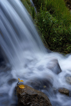 Autumn small falls in Chukchi tundra