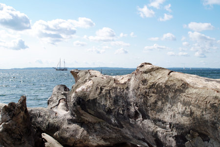 Sailing vessel in the Baltic Seaの写真素材
