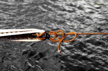 Node between two ropesの写真素材