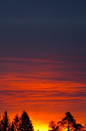 Sunriseの写真素材