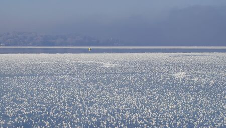 Starnberg Lake in winterの写真素材