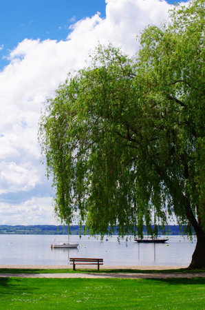 Bank on the banks of the Ammersee