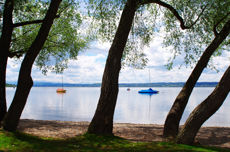 Trees and boats at Ammersee in the springの写真素材