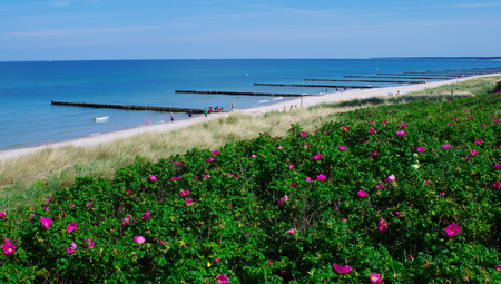 The beach of Ahrenshop on the peninsula of Fischland Dar? Zingst on the Baltic Seaの写真素材