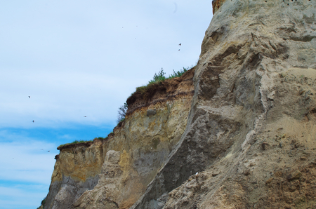 Burrows of a Tern colony on a steep coast of the Baltic Seaの写真素材
