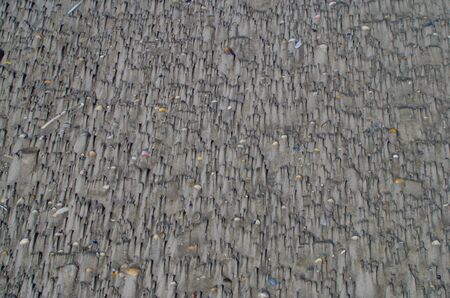 Structures in the watt of the North Seaの写真素材