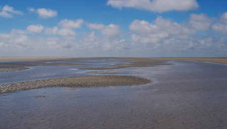 Watt in the Wattenmeer national park of the North Sea near Westerheverの写真素材