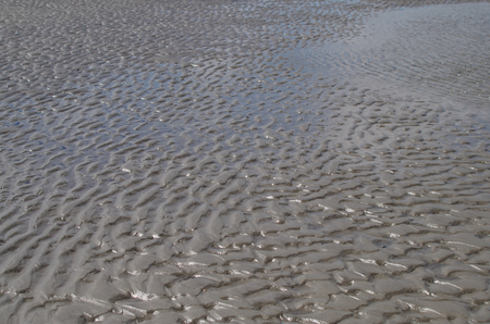 Watt of the North Sea in Schleswig-Holsteinの写真素材