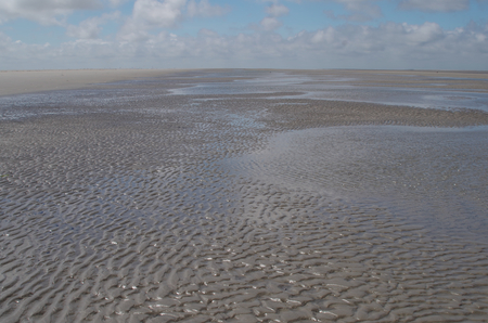 Watt of the North Sea in Schleswig-Holsteinの写真素材