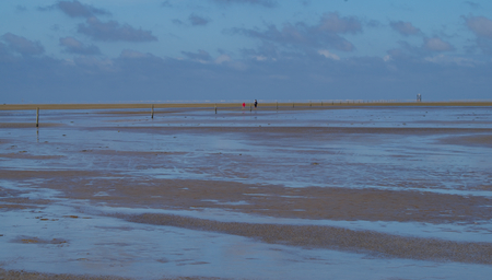 Marked with wooden stakes in the watt of the North Sea near Westerheferの写真素材