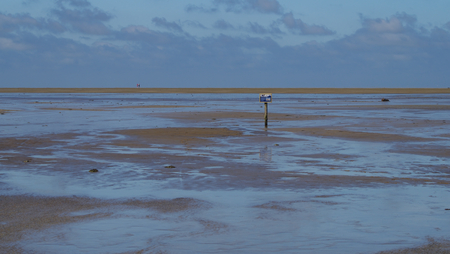 Marked with wooden stakes in the watt of the North Sea near Westerheferの写真素材