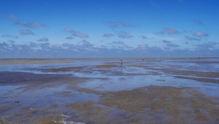National Park Wattenmeer in Germanyの写真素材