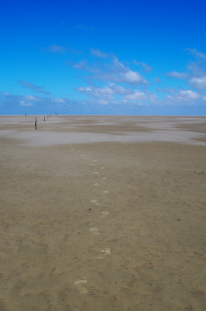 Footprints in the mudflat of the North Sea near Westerheverの写真素材