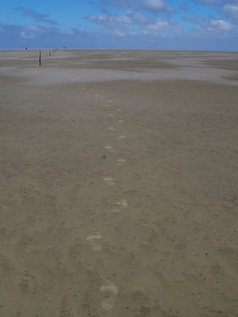 Footprints in the mudflat of the North Sea near Westerheverの写真素材