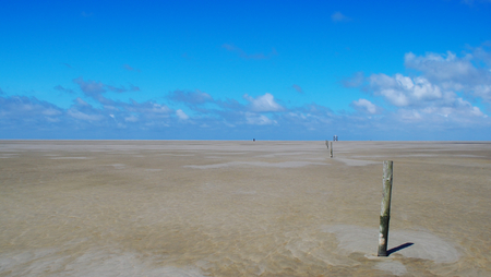 Marked with wooden stakes in the watt of the North Sea near Westerheferの写真素材