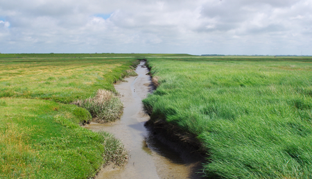 Channel in a salt meadow at the North Seaの写真素材