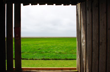 View of the salt marshes of the North Sea near Westerheverの写真素材