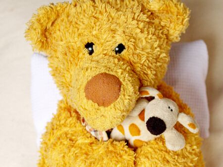 Teddy embraces his friend because he is afraidの写真素材