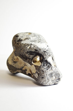 Portrait of a flint with hole