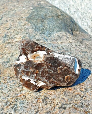 Flint with a hole on a rockの写真素材