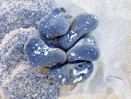 Five flints in the sand of the Baltic Seaの写真素材