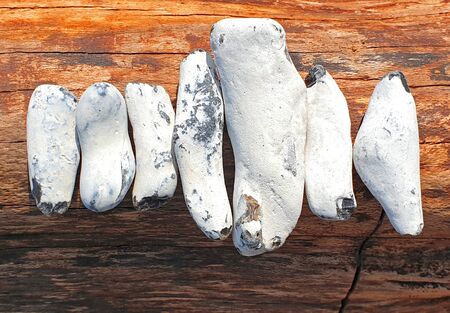 White flints placed in a row on a rootの写真素材