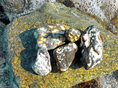 Five flints with white dots on a green rock in the Baltic Seaの写真素材
