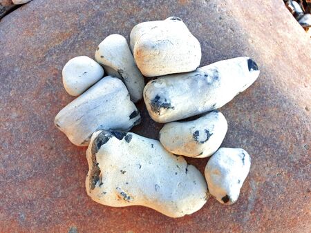 Eight white flint stones on a pink rock on the Baltic Seaの写真素材