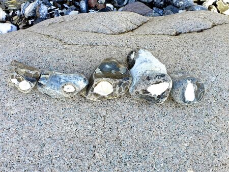 Five flints in a row on a rockの写真素材