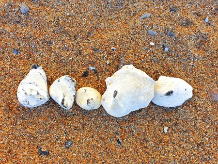 Five flints laid out in a row in the sandの写真素材