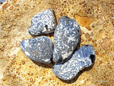 Four flints with dots on a rockの写真素材