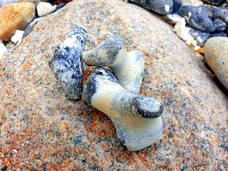 Three round flints on a rock on the Baltic Seaの写真素材