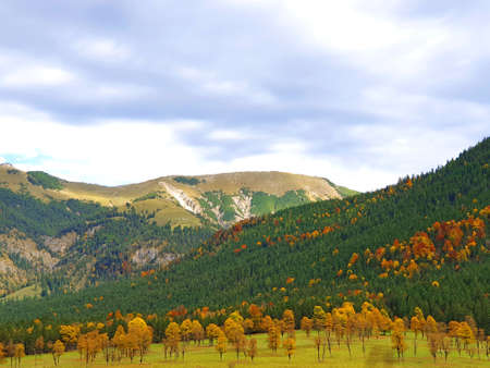 Inian Summer in the Eng in Tirol - Luminous autumn trees in the Karwendelの写真素材