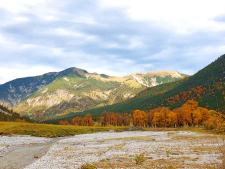 Inian Summer in the Eng in Tirol - Luminous autumn trees in the Karwendelの写真素材