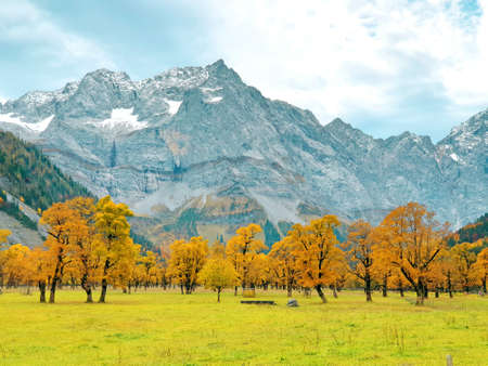 Inian Summer in the Eng in Tirol - Luminous autumn trees in the Karwendelの写真素材