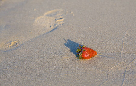 Strawberry on the sandy shore of the sea in the rays of the setting sun.の写真素材