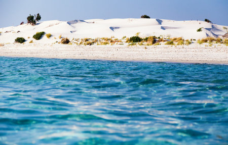 View from the sea on a wild beach with sand dunes.の写真素材