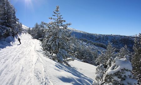 Snowboarding in Bulgaria. Alpine ski resort Borovets の写真素材
