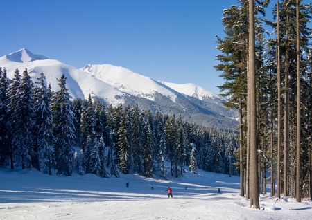 Alpine ski slope at winter resort Bansko, Bulgariaの写真素材