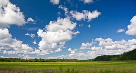Green field landscape and blue sky with cloudsの写真素材