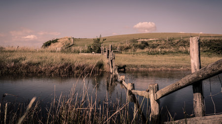 Fence, Cuckmere Havenの写真素材