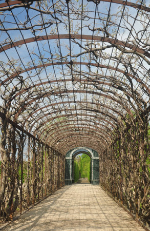 Walkwayの写真素材