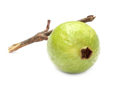 Ripe guava over white backgroundの写真素材