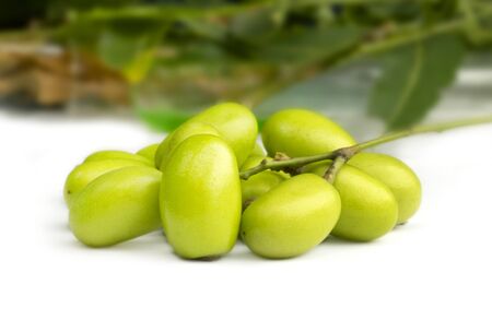 Herbal medicinal neem leaves with fruitの写真素材