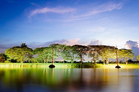 Small lake in summerの写真素材